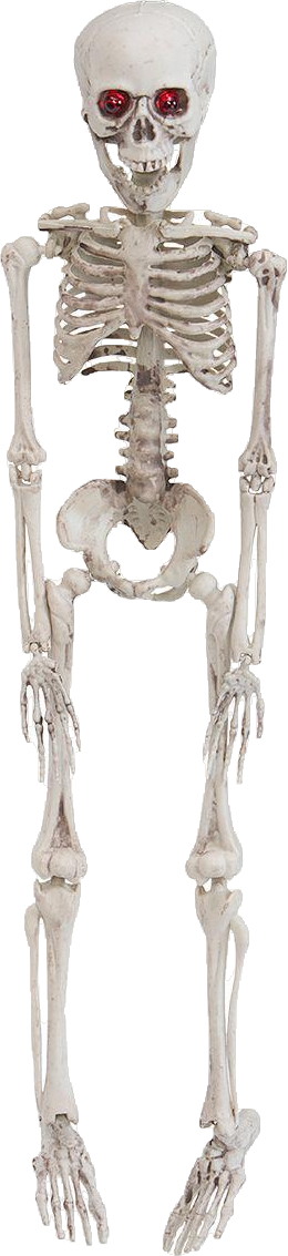 Hengende skjelett