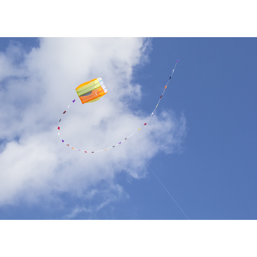Parafoil Kite
